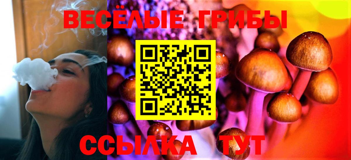 Мариинск  Галлюциногенные грибы MAGIC MUSHROOMS  Галлюциногенные грибы прущие грибы  Вход с VPN 